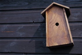 birdhouse
