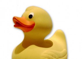 rubberduckie 2