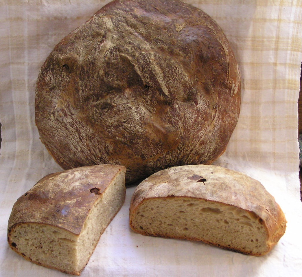 Free-form round loaf of bread